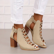 Kaki