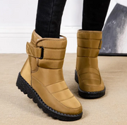 Kaki/Jaune