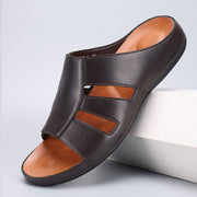 Marron foncé